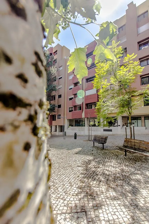 Lisbon Place & Beyond